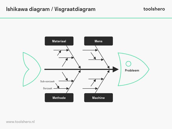 Ishikawa diagram visgraatdiagram